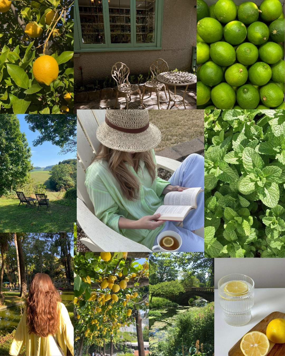 Thé Vert "Fraicheur du jardin" 🍃🍋🟩Bio