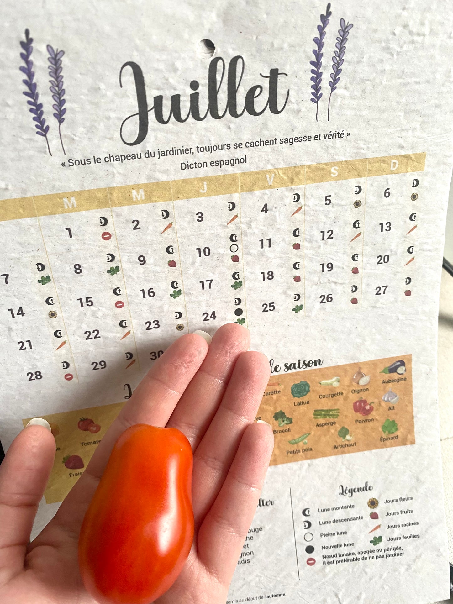 Calendrier du jardin à planter 2025 🪴 Papier Ensemencé Éco-Responsable