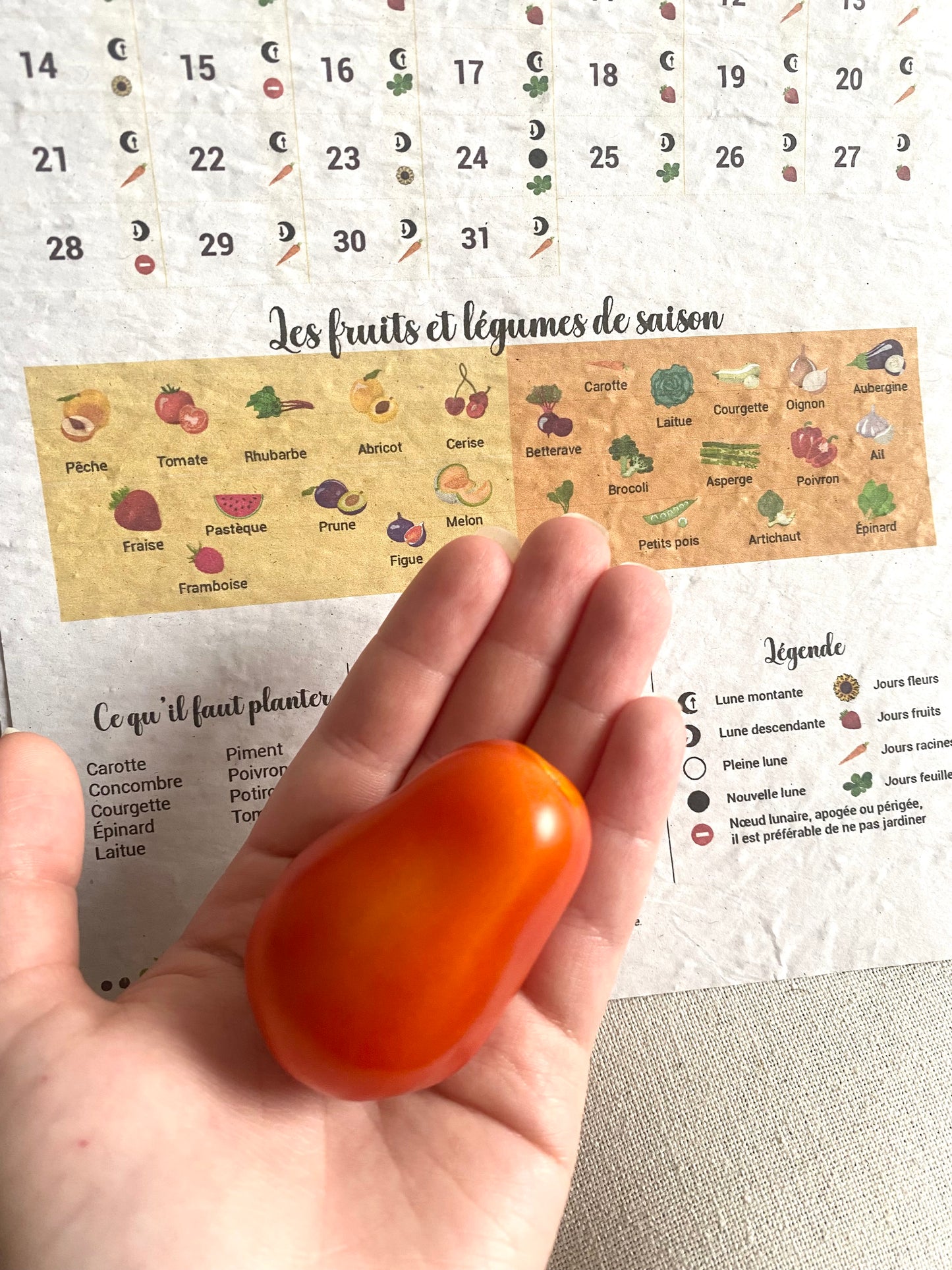 Calendrier du jardin à planter 2025 🪴 Papier Ensemencé Éco-Responsable