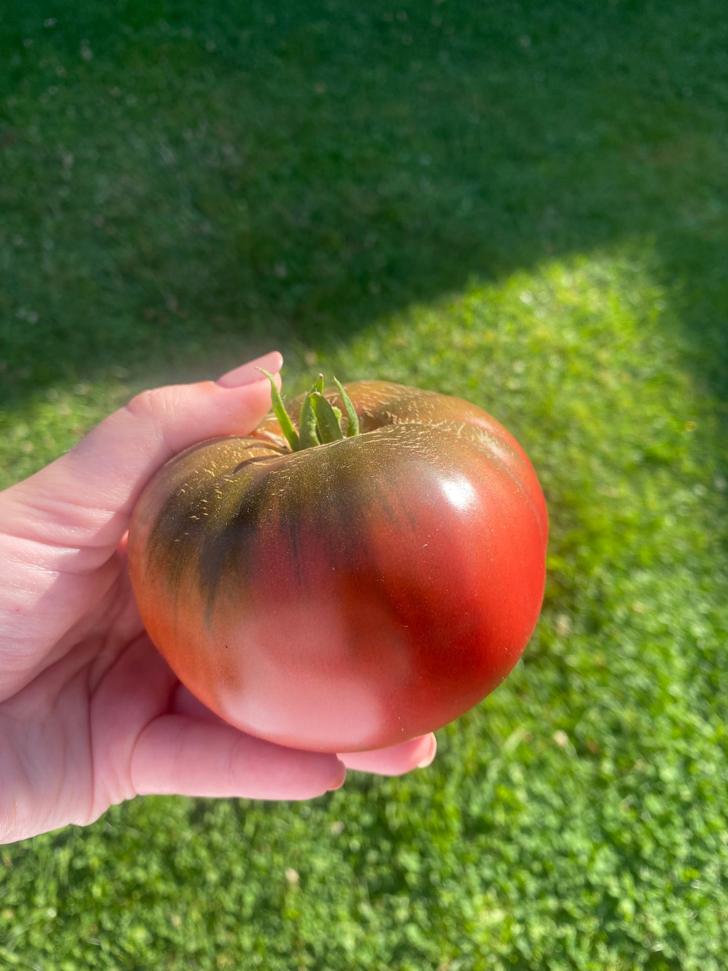 Calendrier du jardin à planter 2025 🪴 Papier Ensemencé Éco-Responsable
