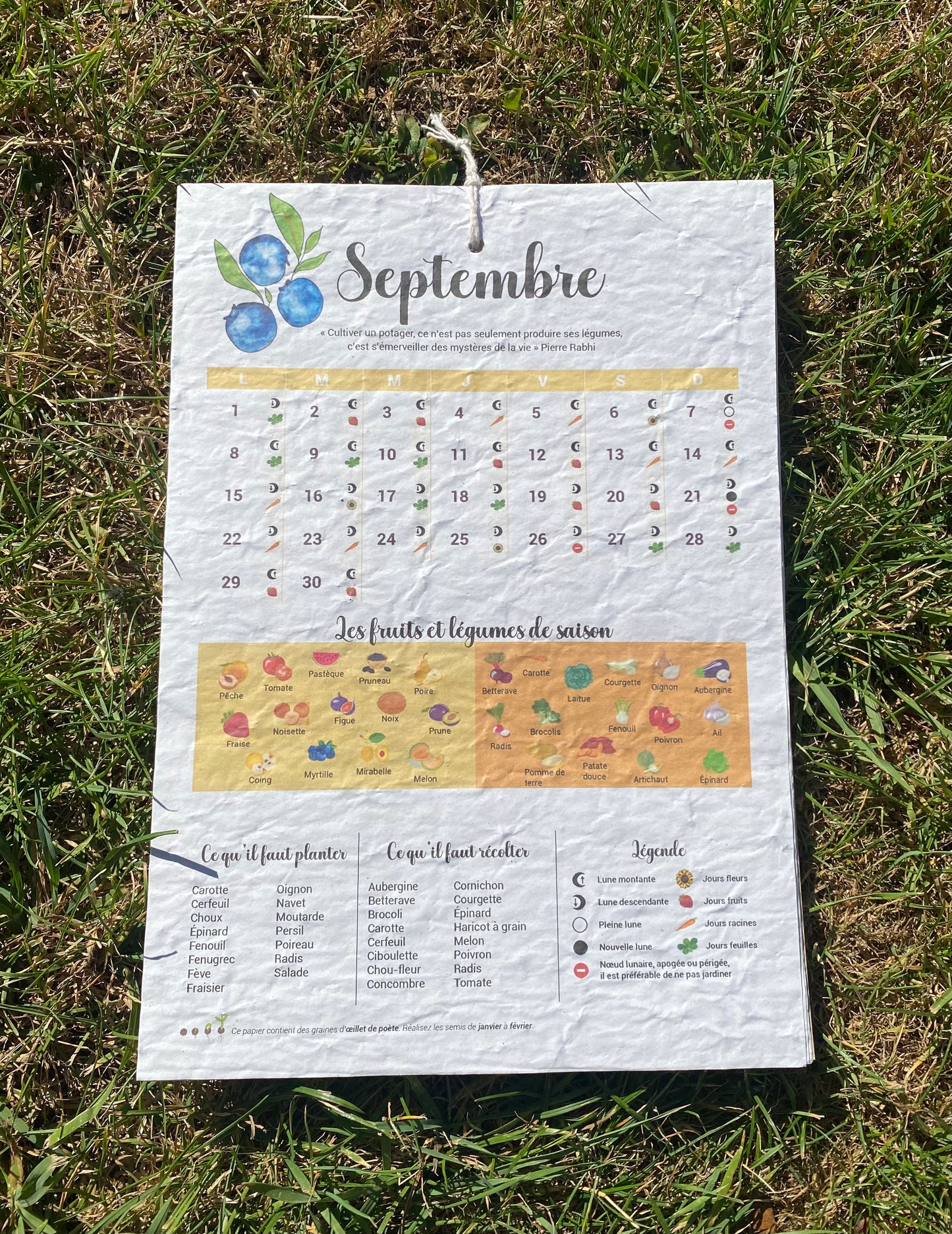 Calendrier du jardin à planter 2025 🪴 Papier Ensemencé Éco-Responsable