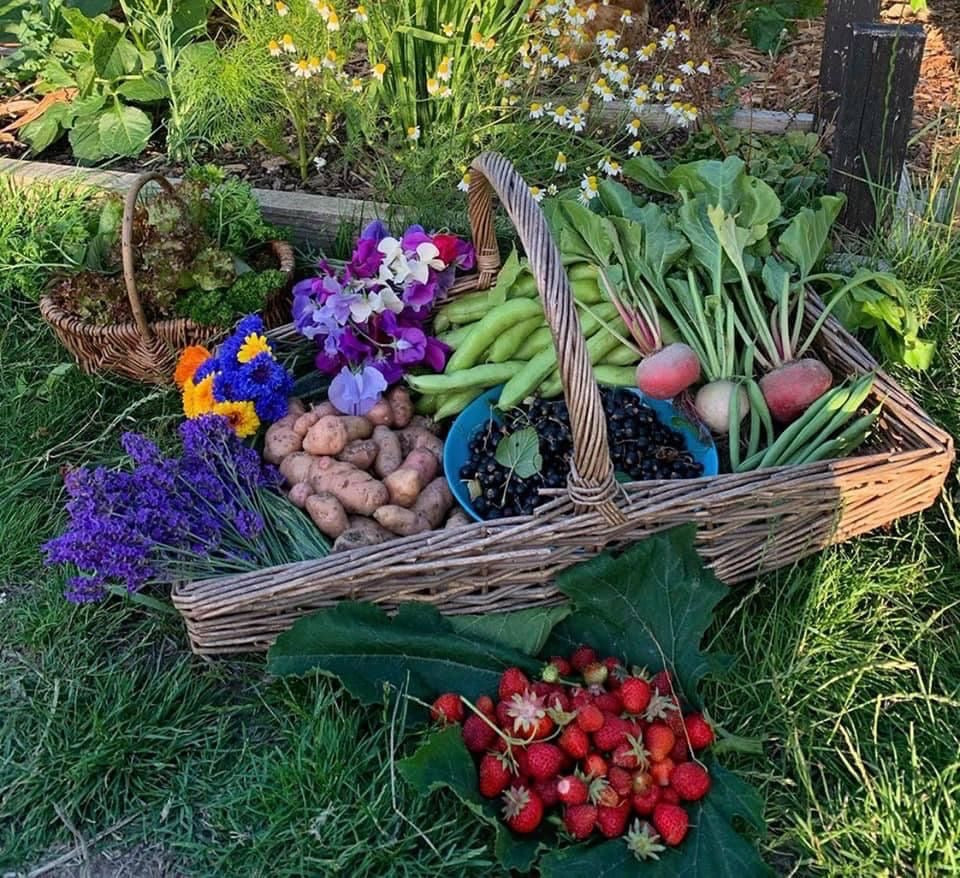 Calendrier du jardin à planter 2025 🪴 Papier Ensemencé Éco-Responsable