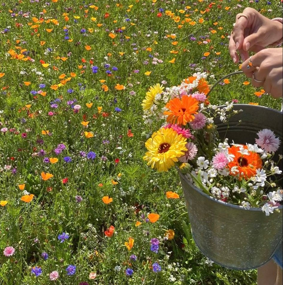 Marque page à planter – Bonne fête maman 💐