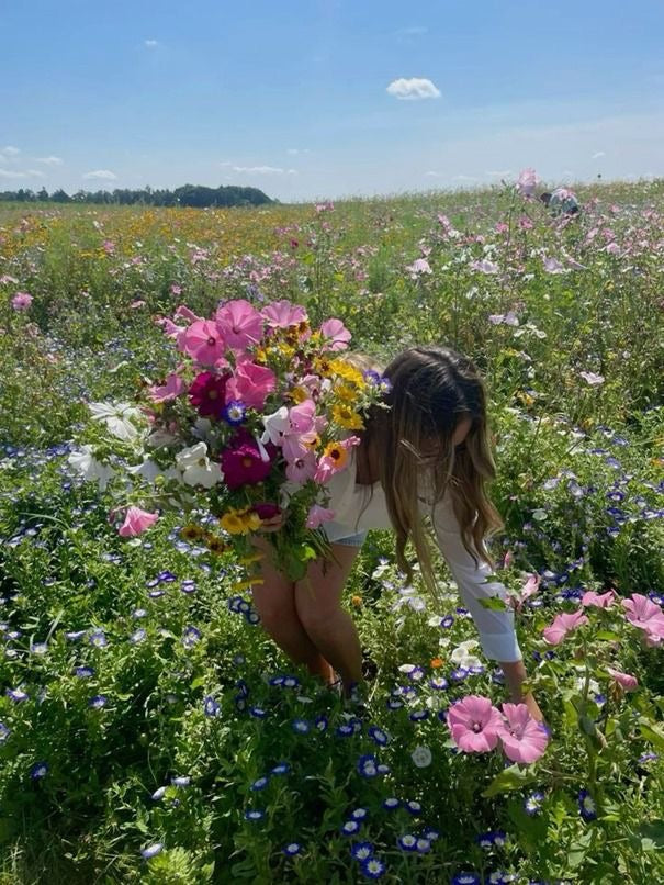 Printemps / Eté 🌼