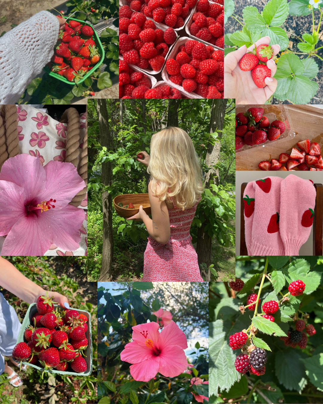 Infusion "Coup de Foudre" 🍓♥️  Fraise Hibiscus Vanille